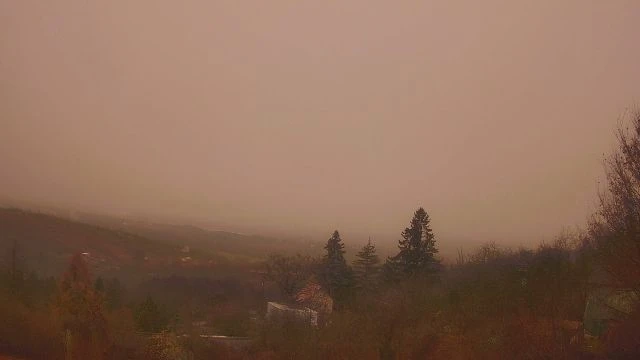 Rózsaszínben láttuk a világot