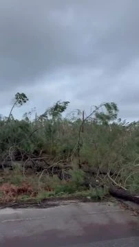 Kristin pusztítása Portugáliában