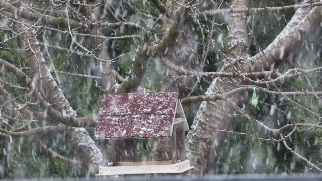 Havazás Pápán (Lampért Gábor - 2026.02.16.)